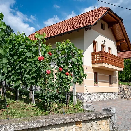 Vineyard Pod Piramido