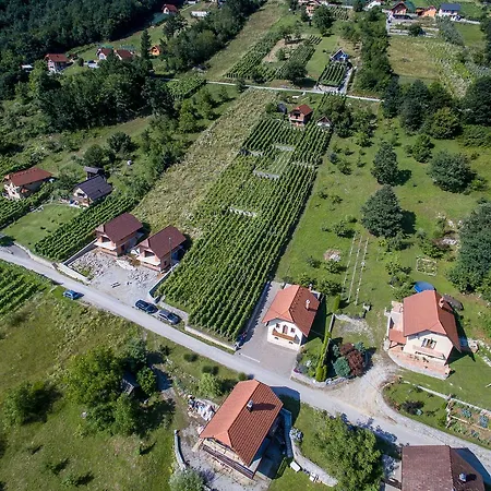 Vineyard Pod Piramido * Dobrnic