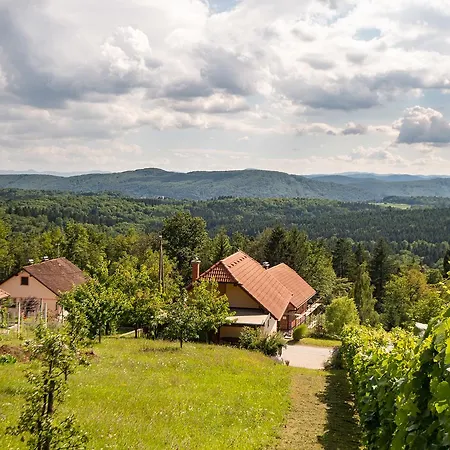 Vineyard Pod Piramido *