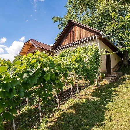 Vineyard Pod Piramido *