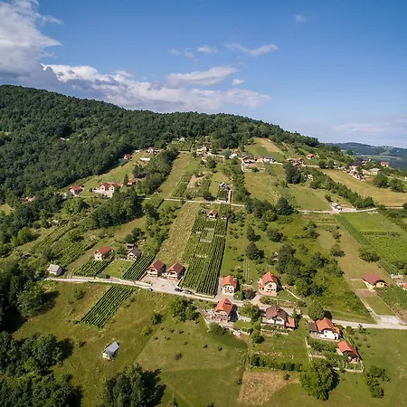 Vineyard Pod Piramido *