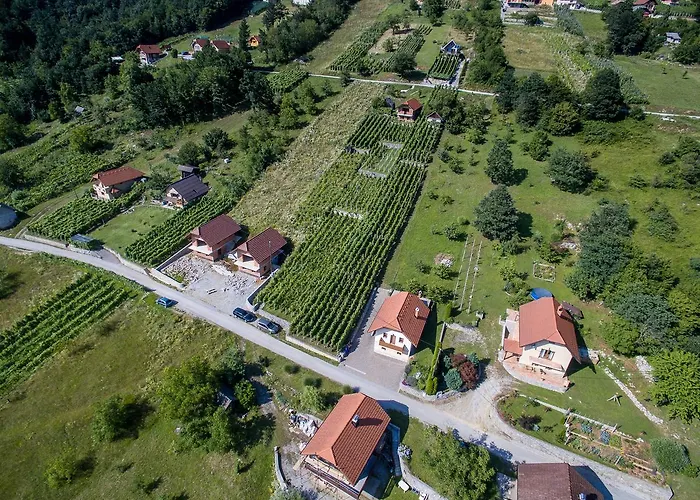 Vineyard Pod Piramido * Dobrnic