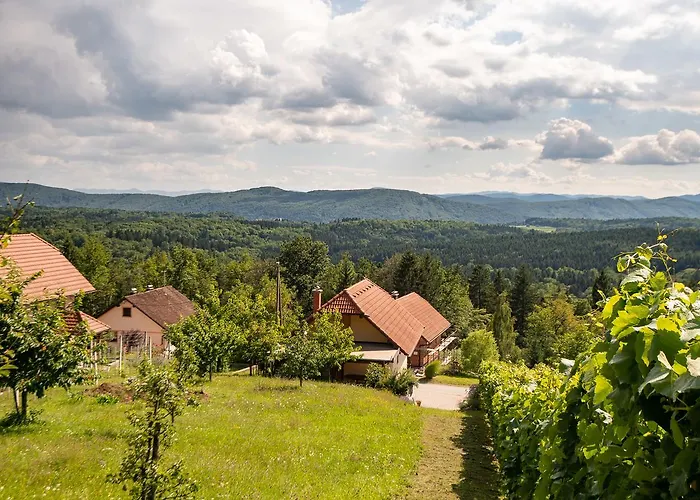 Vineyard Pod Piramido *