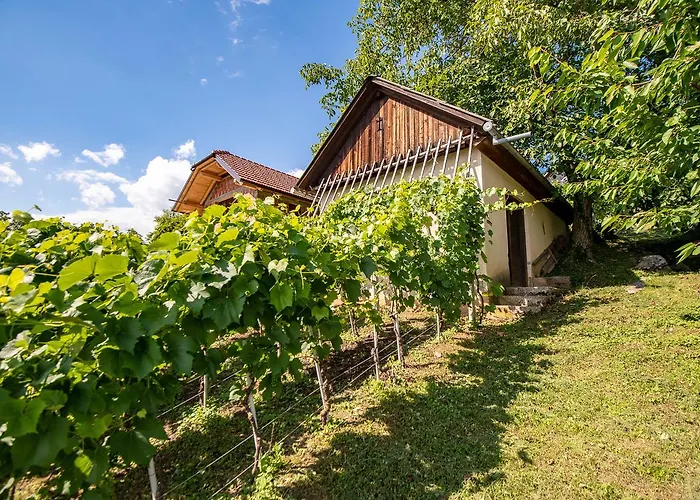 Vineyard Pod Piramido *